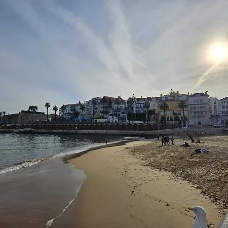 Bolina 2 Historic Center Daire *